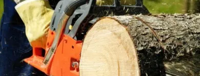 Yrityksen 1 kuva AVUKSI LEO TMI Kiinteistönhoito  Tampere 11