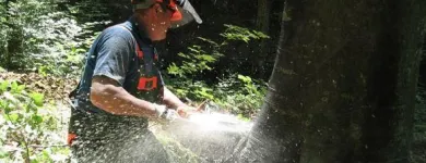 Yrityksen 2 kuva AVUKSI LEO TMI Kiinteistönhoito  Tampere 11