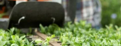 Yrityksen 3 kuva AVUKSI LEO TMI Kiinteistönhoito  Tampere 11