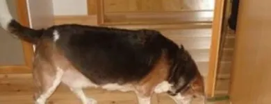 Yrityksen 2 kuva DRYTEC OY AB Vesirakentaminen  Vaasa 12