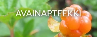 Yrityksen 2 kuva EURAN APTEEKKI Apteekit  Eura 17
