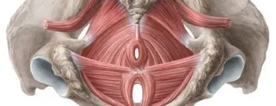 Yrityksen 3 kuva FYSICARE  Rovaniemi LL