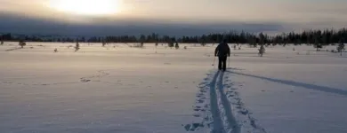Yrityksen 1 kuva KALLE SPORT OY Urheiluvälineiden ja polkupyörien vähittäiskauppa  Helsinki 18