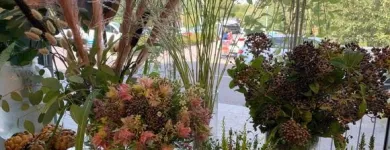 Yrityksen 2 kuva KOIVUHAAN KUKKAKAUPPA OY Kukkien vähittäiskauppa  Vantaa 18