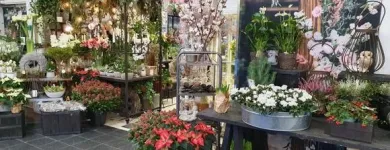 Yrityksen 6 kuva KOIVUHAAN KUKKAKAUPPA OY Kukkien vähittäiskauppa  Vantaa 18