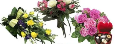 Yrityksen 8 kuva KOIVUHAAN KUKKAKAUPPA OY Kukkien vähittäiskauppa  Vantaa 18