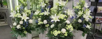 Yrityksen 9 kuva KOIVUHAAN KUKKAKAUPPA OY Kukkien vähittäiskauppa  Vantaa 18