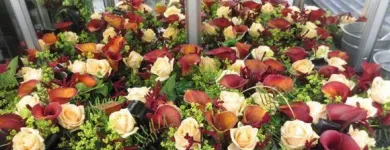 Yrityksen 10 kuva KOIVUHAAN KUKKAKAUPPA OY Kukkien vähittäiskauppa  Vantaa 18