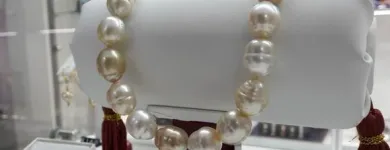 Yrityksen 2 kuva KORULIIKE PEARLY PARROT  Helsinki 18