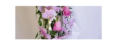 Yrityksen 1 kuva KUKKAKAUPPA DESIREE Kukkien vähittäiskauppa  Helsinki 18