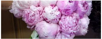 Yrityksen 5 kuva KUKKAKAUPPA DESIREE Kukkien vähittäiskauppa  Helsinki 18