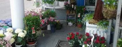 Yrityksen 1 kuva KUKKAKAUPPA ESPOO, LEPPÄVAARAN KUKKA OY Kukkien vähittäiskauppa  Espoo 18