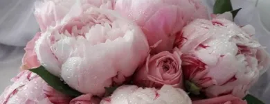 Yrityksen 6 kuva KUKKAKAUPPA ESPOO, LEPPÄVAARAN KUKKA OY Kukkien vähittäiskauppa  Espoo 18