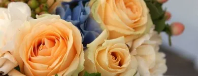 Yrityksen 8 kuva KUKKAKAUPPA ESPOO, LEPPÄVAARAN KUKKA OY Kukkien vähittäiskauppa  Espoo 18