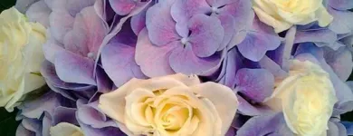 Yrityksen 10 kuva KUKKAKAUPPA ESPOO, LEPPÄVAARAN KUKKA OY Kukkien vähittäiskauppa  Espoo 18