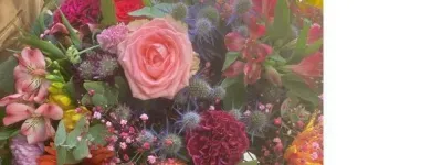 Yrityksen 8 kuva KUKKAKAUPPA FORM & FLORA OY Kukkien vähittäiskauppa  Helsinki 18