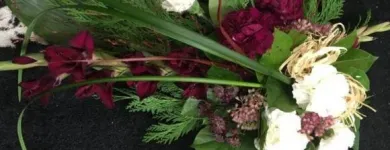 Yrityksen 2 kuva KUKKAKAUPPA HOPIAHIPPU  Tampere 11