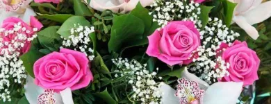 Yrityksen 3 kuva KUKKAKAUPPA LUTUKKA Kukkien vähittäiskauppa  Helsinki 18