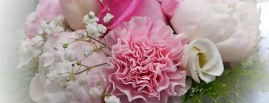 Yrityksen 2 kuva KUKKAKAUPPA MARI HAVIA  Kokkola 07