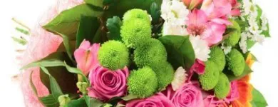 Yrityksen 1 kuva KUKKAMARKKINAT OY / KUKKATUPA ROVANIEMI  Rovaniemi LL