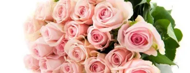 Yrityksen 3 kuva KUKKAMARKKINAT OY / KUKKATUPA ROVANIEMI  Rovaniemi LL