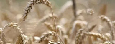 Yrityksen 1 kuva LANTMÄNNEN AGRO NIVALA  Nivala 14