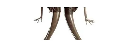 Yrityksen 2 kuva LOHIKARI OY Toimitilakalusteiden tukkukauppa  Helsinki 18