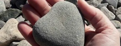 Yrityksen 4 kuva LUOVA MAA  Lempäälä 11
