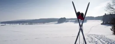 Yrityksen 2 kuva MANKKAAN SUKSIHUOLTO OY Urheilualan tukkukauppa  Espoo 18