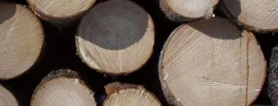 Yrityksen 1 kuva METSÄ GROUP / METSÄLIITTO OSUUSKUNTA Puun sahaus, höyläys ja kyllästys  Espoo 18