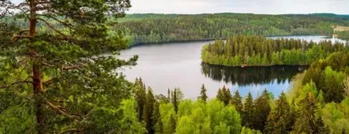 Yrityksen 3 kuva METSÄSUUNNITTELU HOLLANTI OY Metsätaloutta palveleva toiminta  Oulainen 14