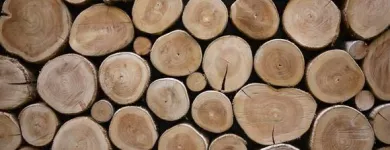 Yrityksen 4 kuva METSÄSUUNNITTELU HOLLANTI OY Metsätaloutta palveleva toiminta  Oulainen 14