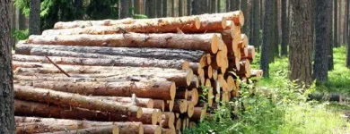 Yrityksen 6 kuva METSÄSUUNNITTELU HOLLANTI OY Metsätaloutta palveleva toiminta  Oulainen 14