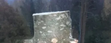 Yrityksen 2 kuva METSÄTYÖ RIITTINEN Puunkorjuu  Otava 04