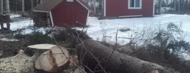 Yrityksen 3 kuva METSÄTYÖ RIITTINEN Puunkorjuu  Otava 04