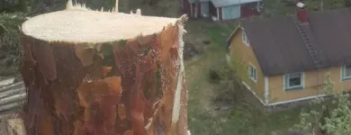 Yrityksen 5 kuva METSÄTYÖ RIITTINEN Puunkorjuu  Otava 04