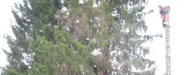 Yrityksen 6 kuva METSÄTYÖ RIITTINEN Puunkorjuu  Otava 04