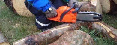 Yrityksen 7 kuva METSÄTYÖ RIITTINEN Puunkorjuu  Otava 04