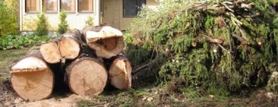 Yrityksen 8 kuva METSÄTYÖ RIITTINEN Puunkorjuu  Otava 04