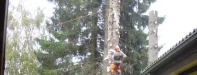 Yrityksen 9 kuva METSÄTYÖ RIITTINEN Puunkorjuu  Otava 04