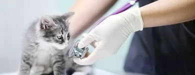 Yrityksen 1 kuva OMAELÄINKLINIKKA TAMPERE  Tampere 11