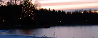 Yrityksen 1 kuva PÄHKINÄHOITO OY  Vantaa 18