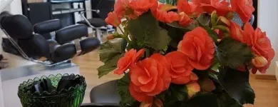 Yrityksen 3 kuva PARTURI-KAMPAAMO SINULLE Parturit ja kampaamot  Espoo 18