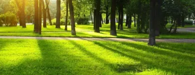 Yrityksen 10 kuva PIIRAISEN VIHERPALVELU OY Maisemanhoitopalvelut  Kajaani 05