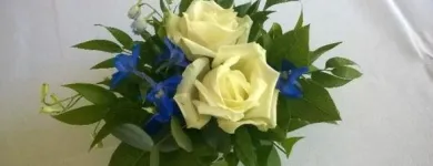 Yrityksen 1 kuva PIRKKALAN KUKKAPALVELU OY  Pirkkala 11