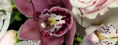 Yrityksen 4 kuva PIRKKALAN KUKKAPALVELU OY  Pirkkala 11