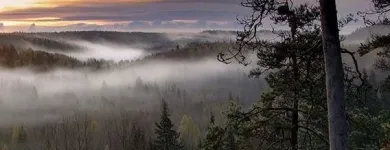 Yrityksen 1 kuva PK-PUU RAISIO  Raisio 19
