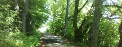 Yrityksen 3 kuva PSYKOTERAPEUTTI RAINER JOHANSSON Muu terveyspalvelu  Helsinki 18