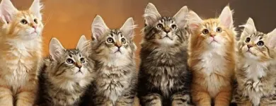 Yrityksen 5 kuva STUDIO SUNDELL Valokuvaamot ja muu kuvaustoiminta  Kokkola 07