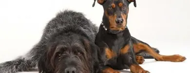 Yrityksen 7 kuva STUDIO SUNDELL Valokuvaamot ja muu kuvaustoiminta  Kokkola 07